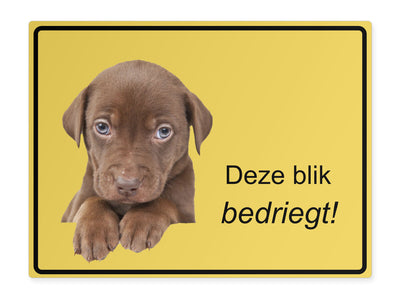 tierschild-quer-dieser-blick-taeuscht